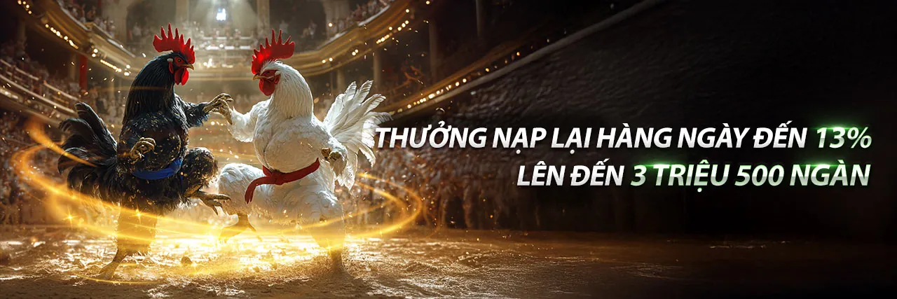 Sân vận động bóng đá lớn với khán đài đầy ắp người hâm mộ đang cổ vũ nhiệt tình tại t88 nhà cái